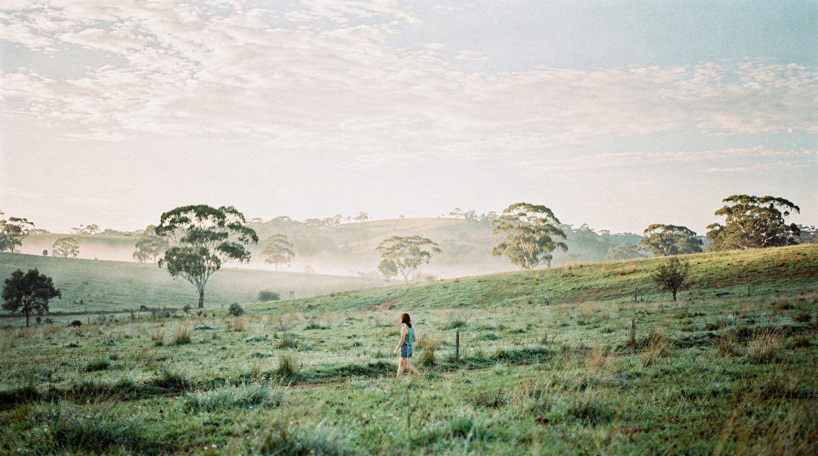A woman walking through green paddocks dotted with gum trees on a misty morning